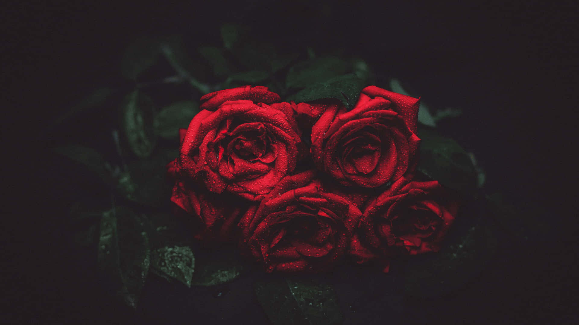1440p Grunge Aesthetic Red Garden Roses Background