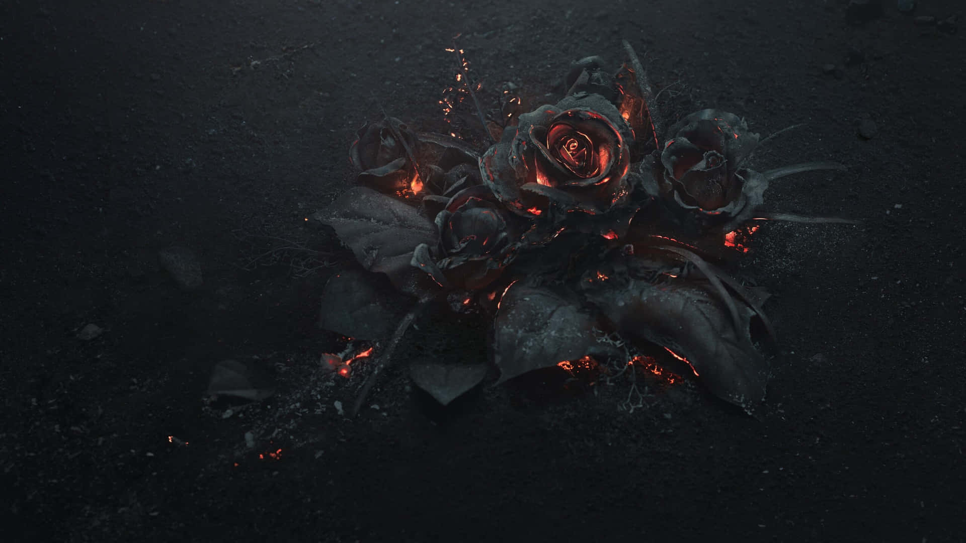 1440p Black Roses With Fire Background
