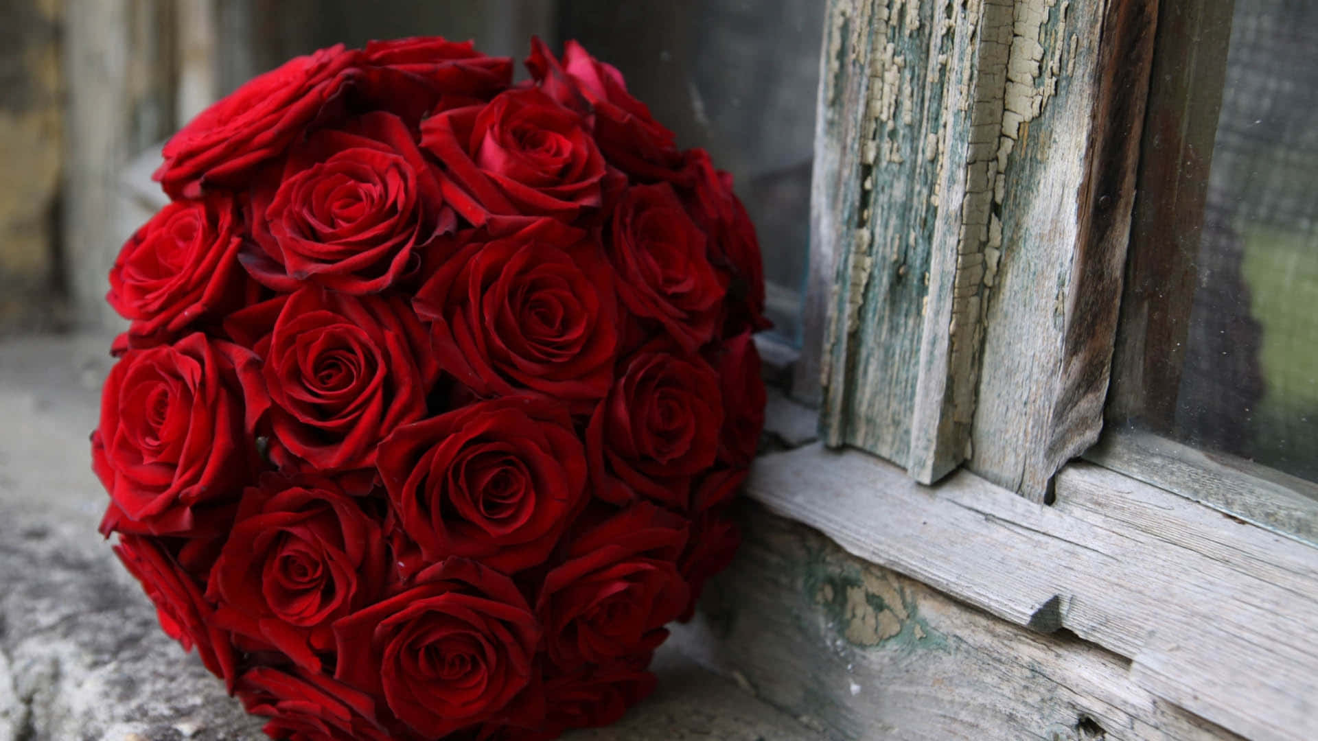 1440p Red Roses Bouquet Background