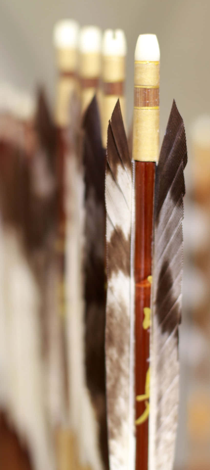 A Group Of Arrows With Feathers On Them Wallpaper