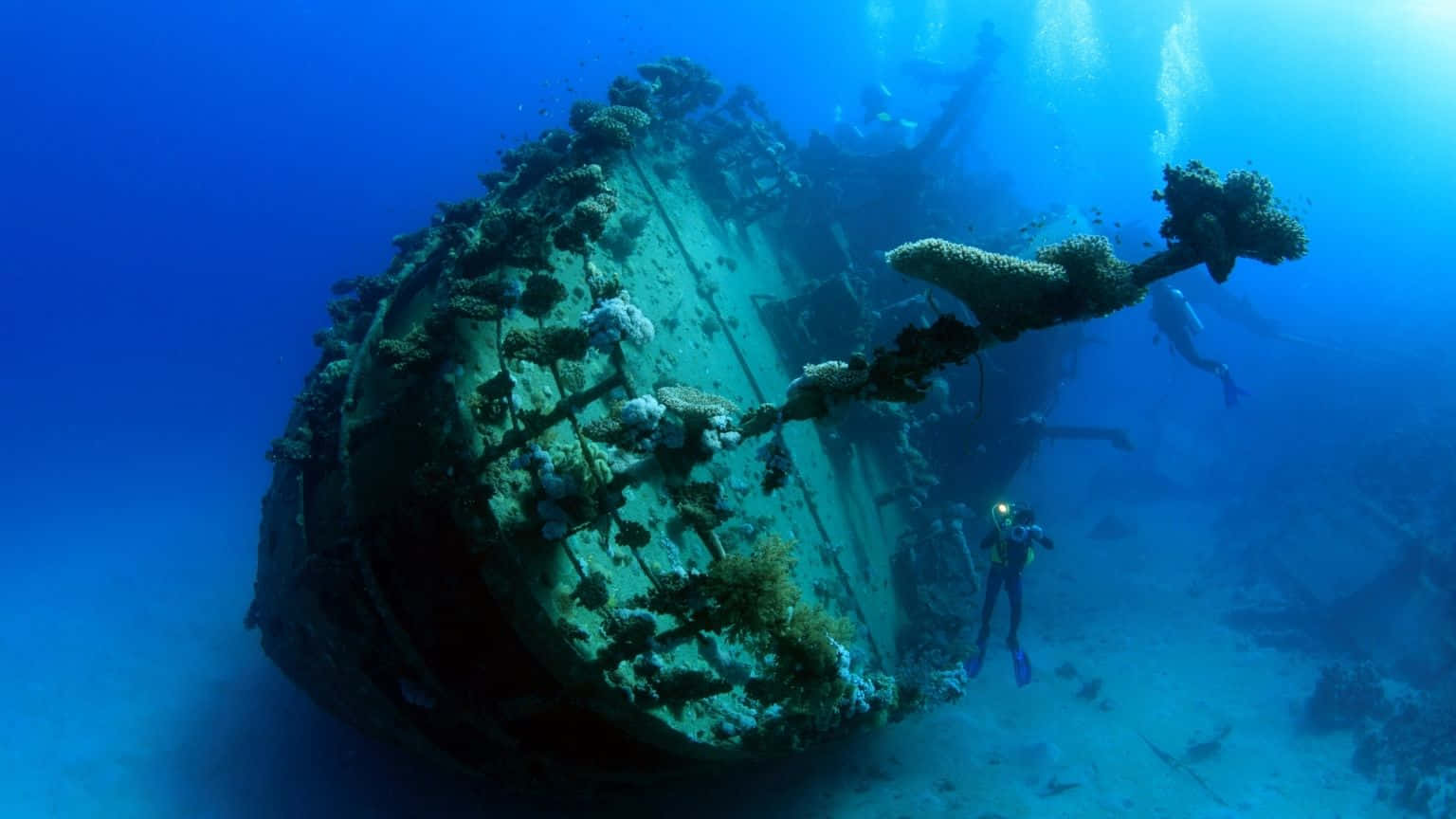 A Group Of Divers Are Scuba Diving Near A Wreck Wallpaper