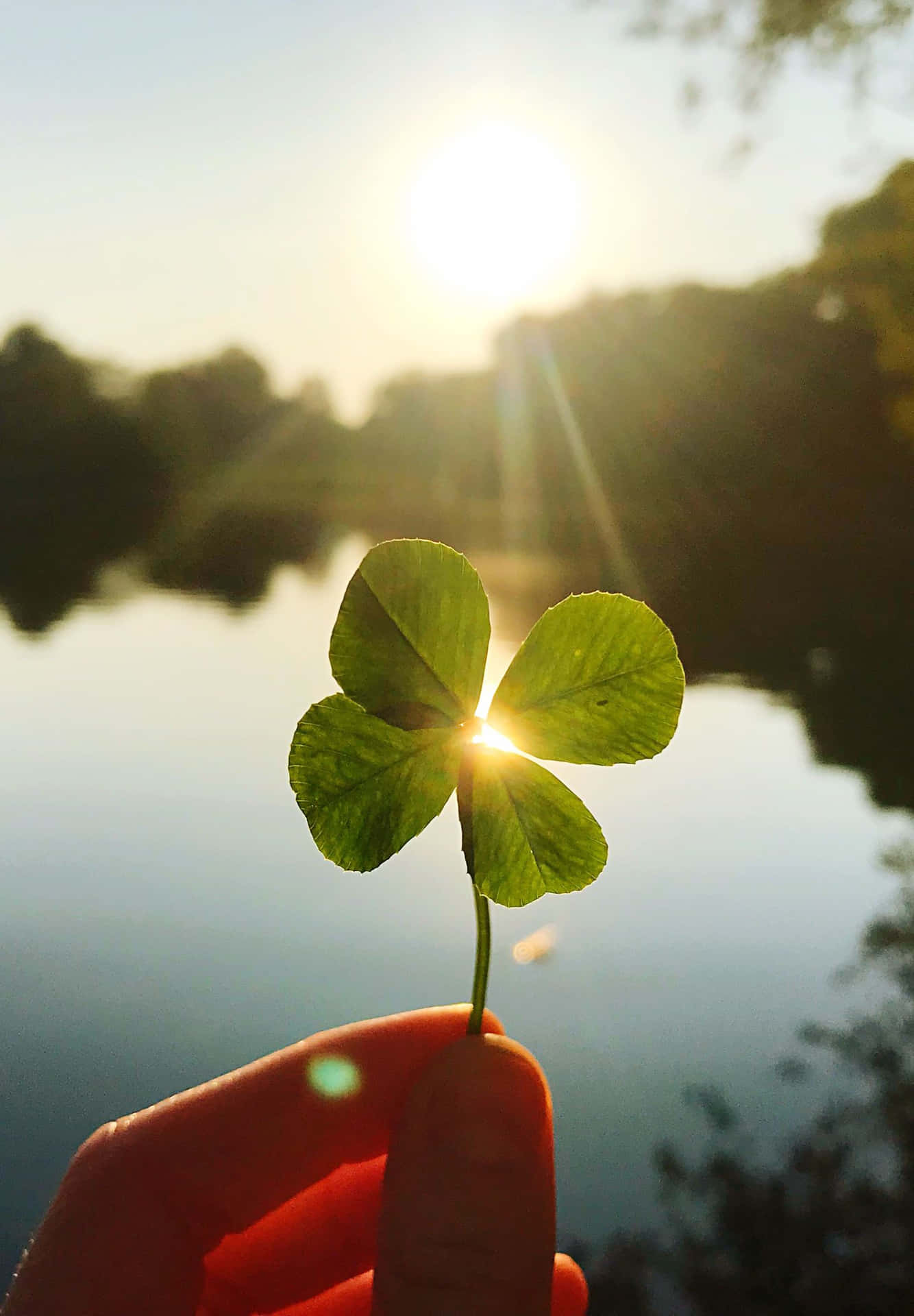 a person holding a four leaf clover in front of a lake Wallpaper