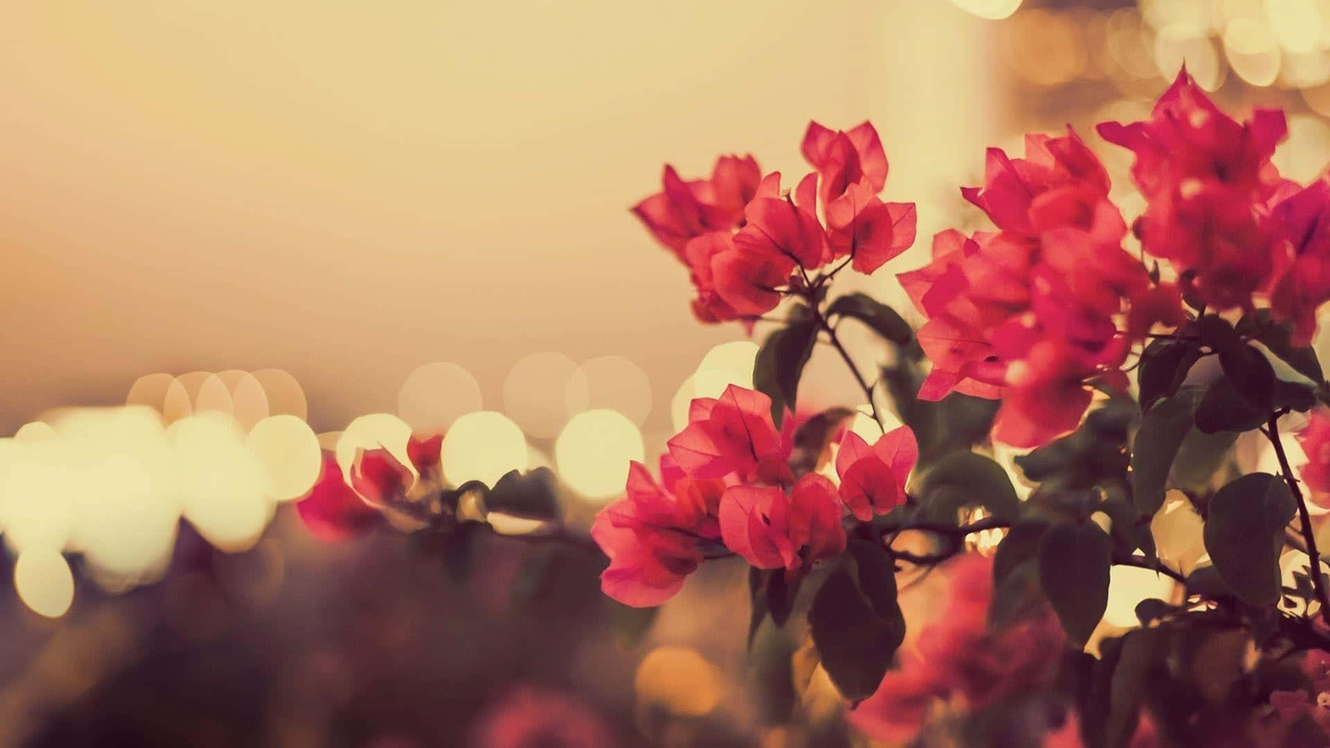A Picture Of Flowers In Front Of A City Wallpaper