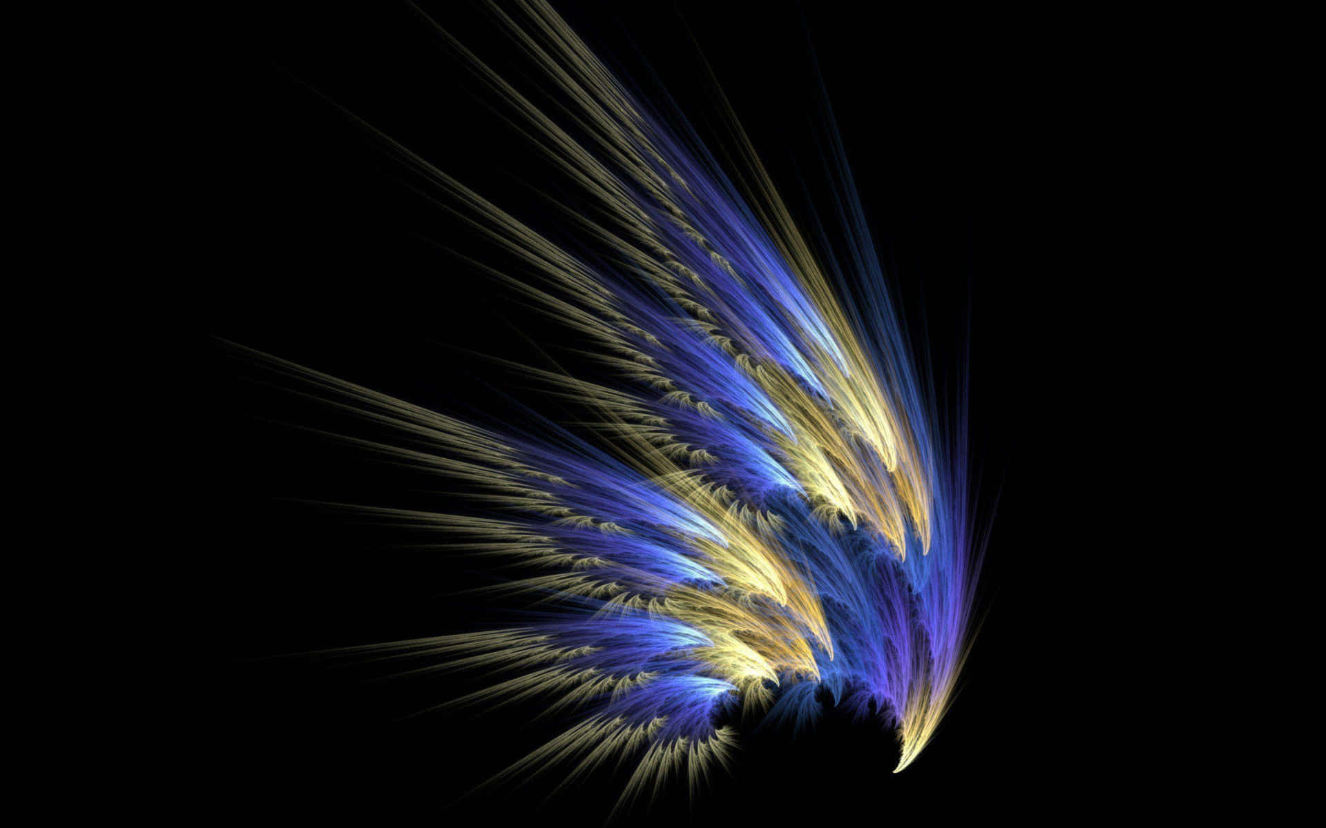 A Blue And Yellow Wing With A Black Background Wallpaper