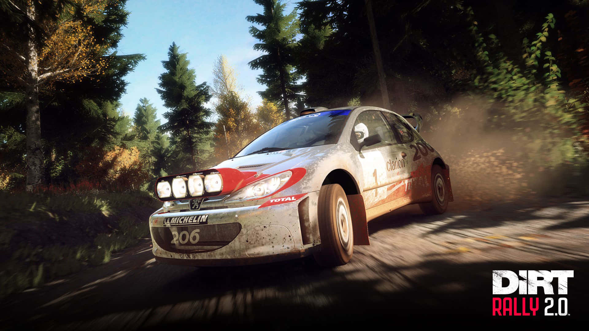 Feel the Rush of Professional Rally Racing