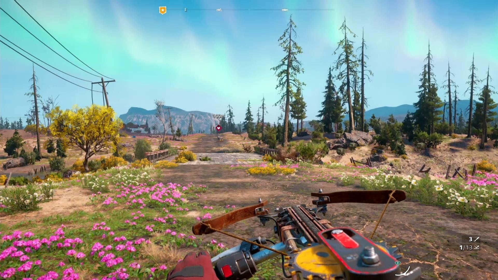 A Screenshot Of A Game With A Gun And Flowers
