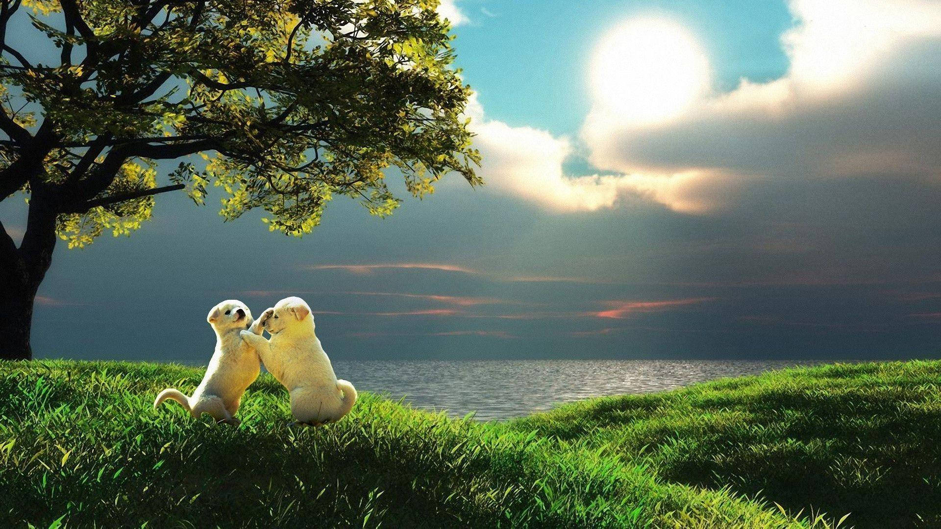 1920x1080 Full Hd Dogs Playing On Hill Wallpaper