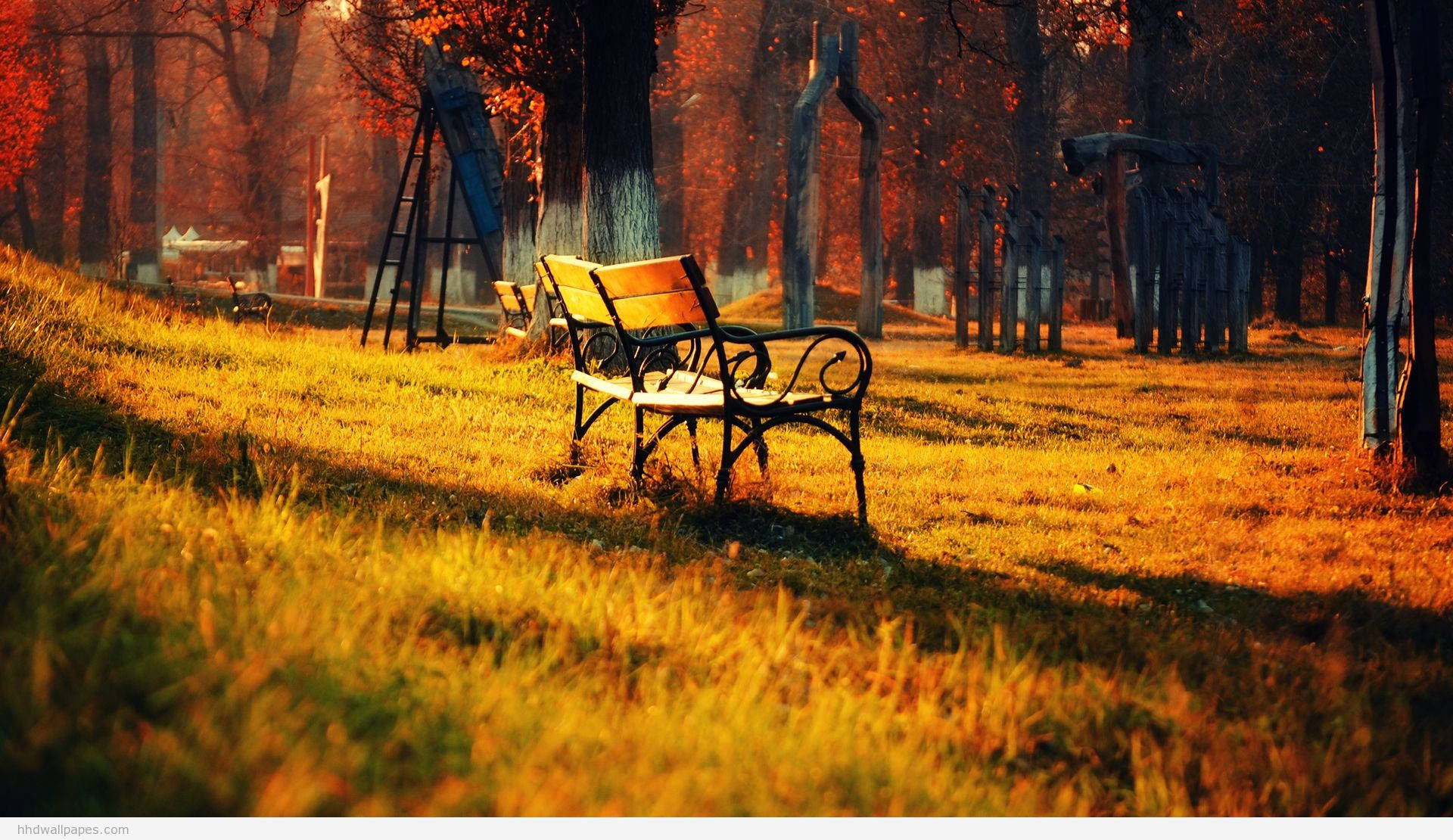 1920x1080 Full Hd Nature Bench In Autumn Wallpaper