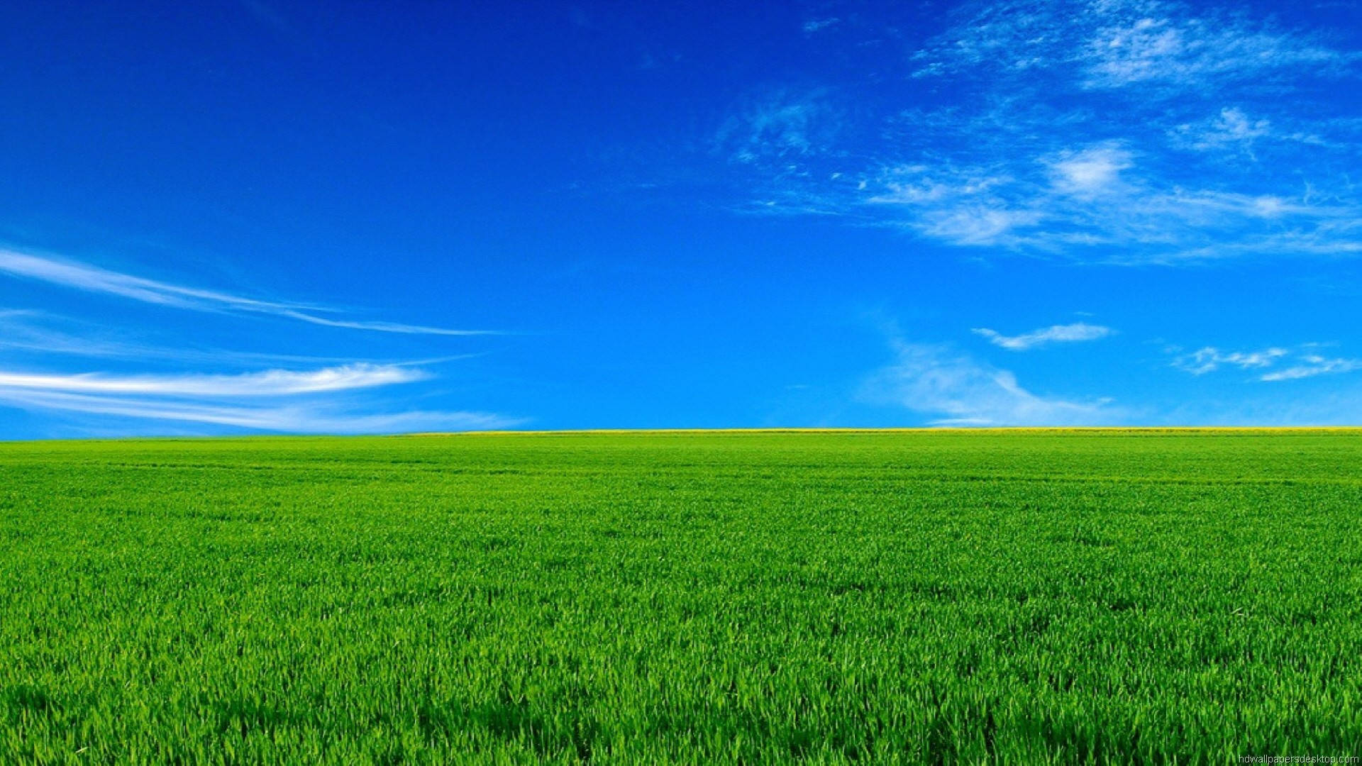 Download 1920x1080 Full Hd Nature Green Grass Blue Sky Wallpaper |  
