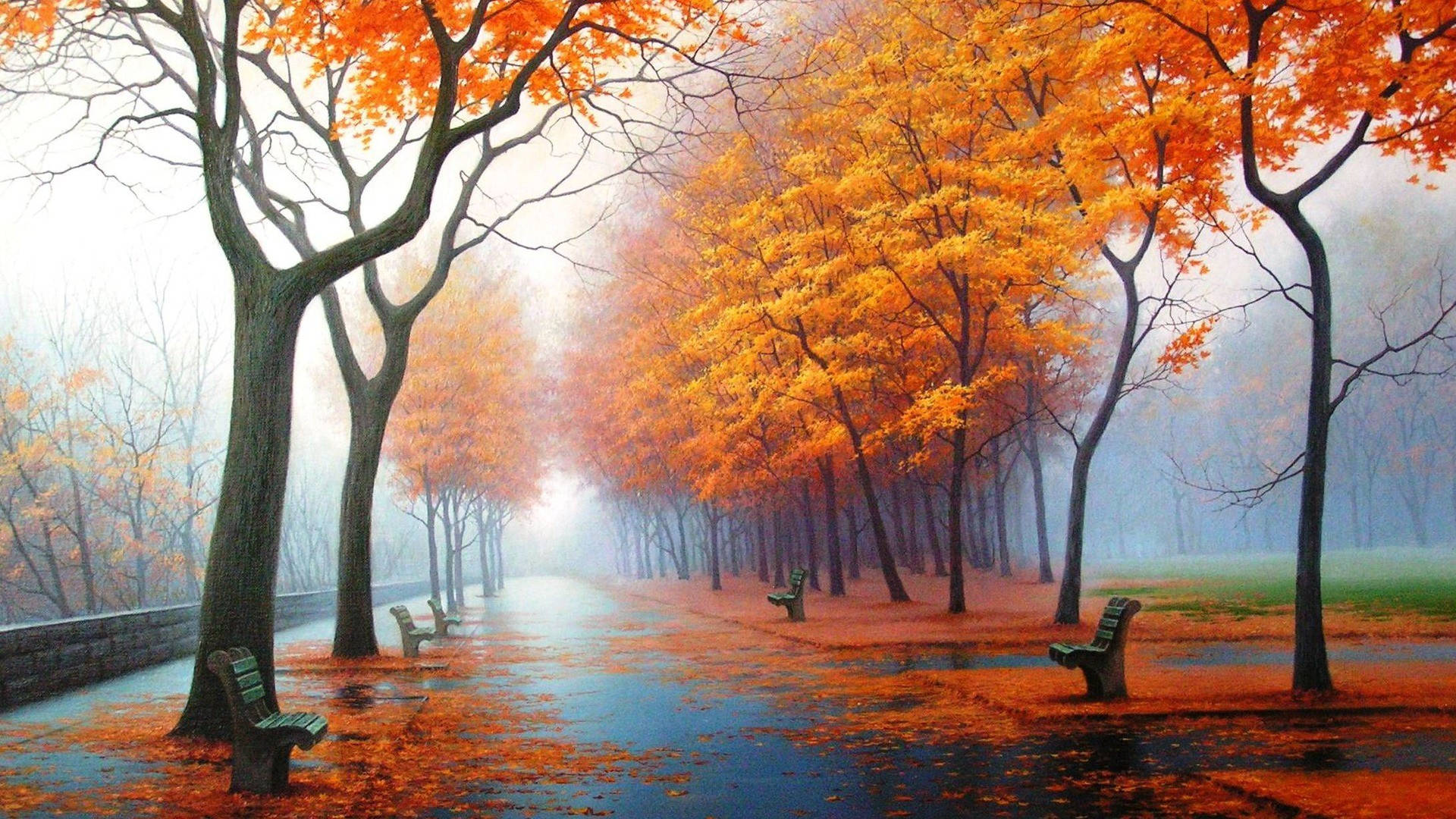 1920x1080 Full Hd Nature Orange Leaves Trees Wallpaper