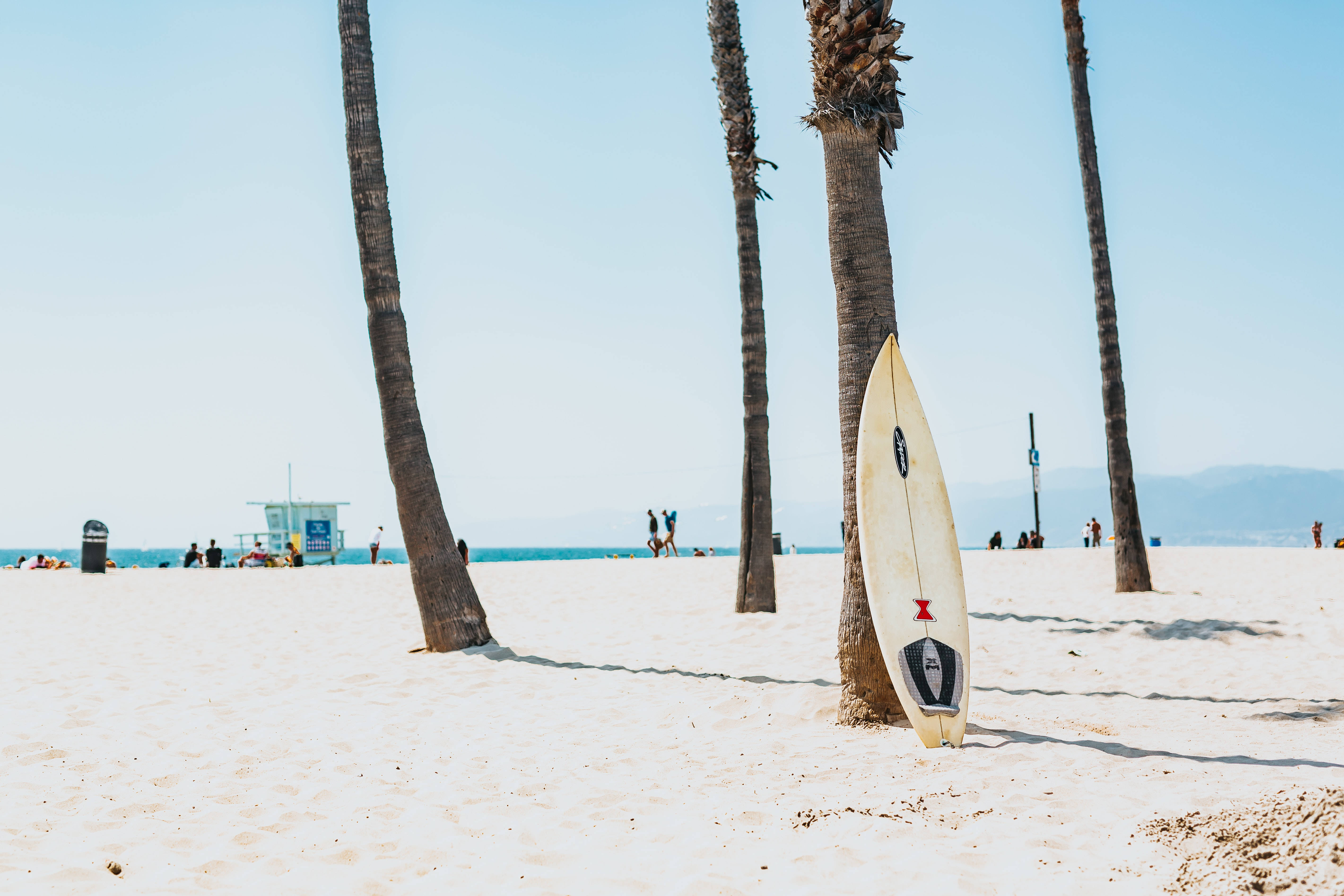 1920x1080 Hd Beach Desktop Surfboard And Palm Tree Wallpaper