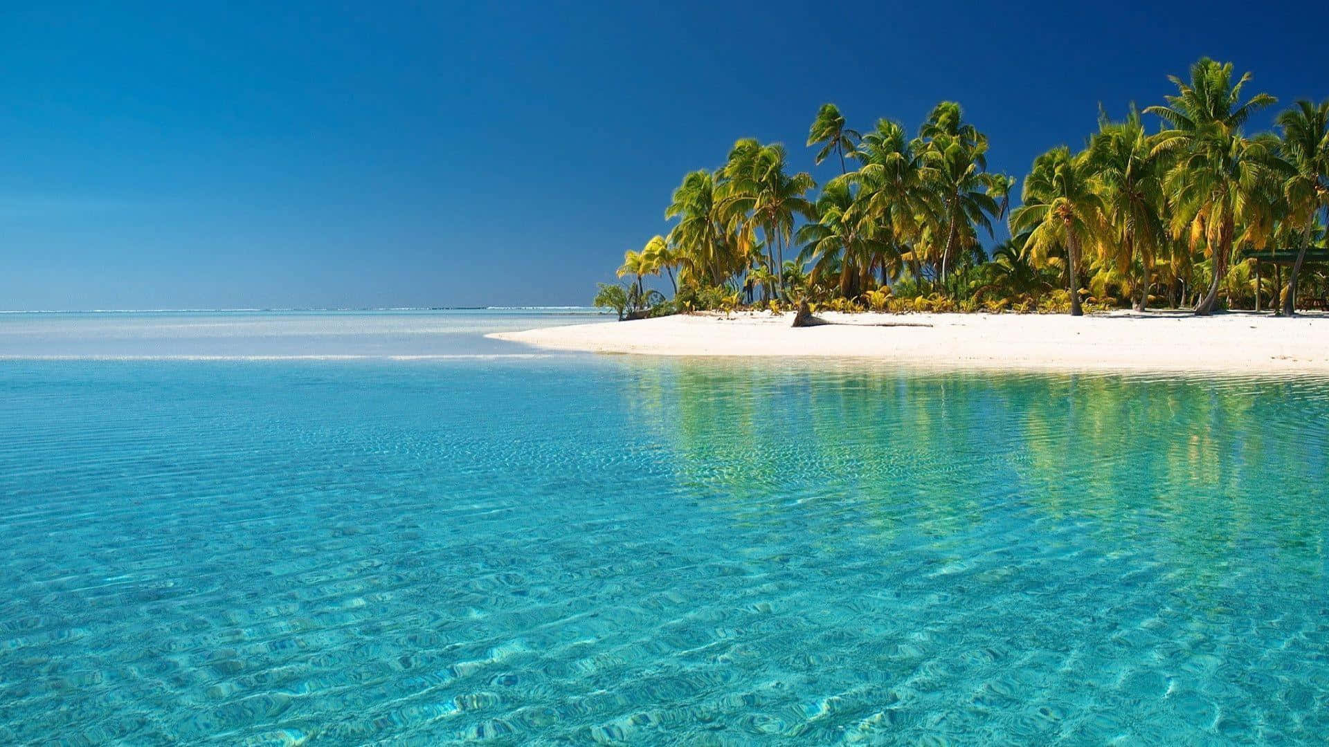 En tropisk ø med klart vand og palmer Wallpaper