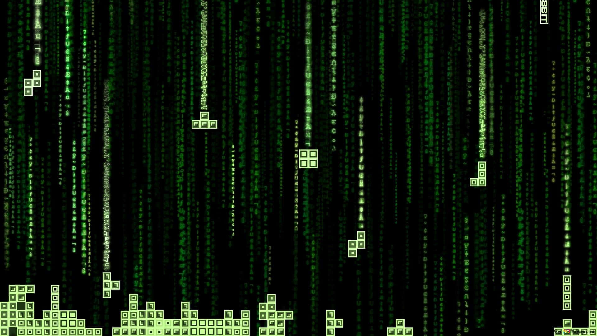 Mand koder på en stationær computer Wallpaper