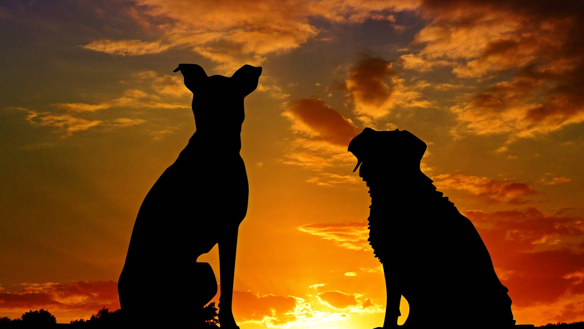 1920x1080 Hd Dogs Silhouette Background