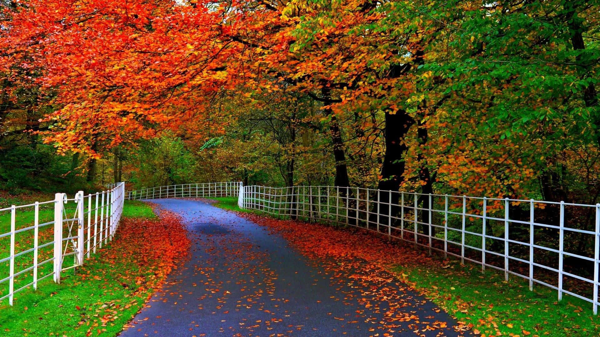 Genießensie Diesen Malerischen Herbstblick Auf Ein Schönes Flussufer Mit Majestätischen Bäumen Im Hintergrund. Wallpaper