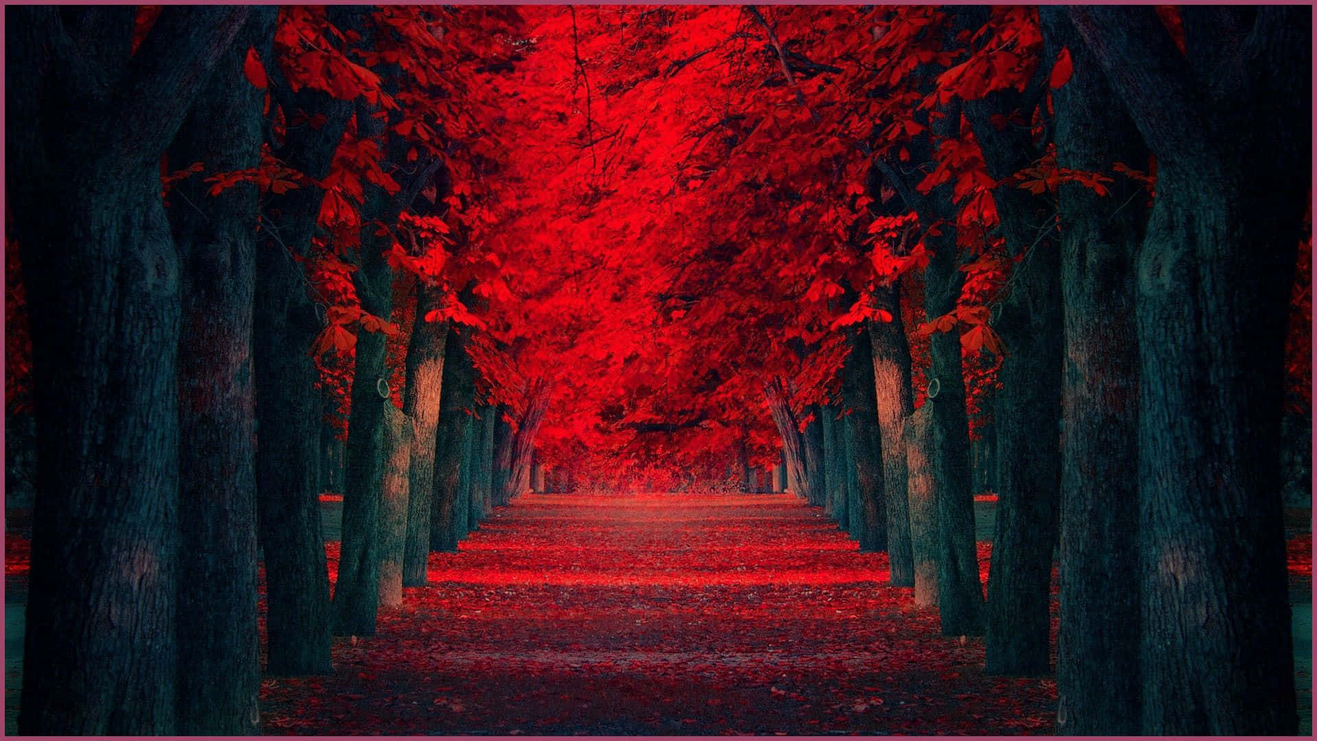 Reichhaltigesund Lebendiges Rot 1920x1080 Hintergrundbild Wallpaper
