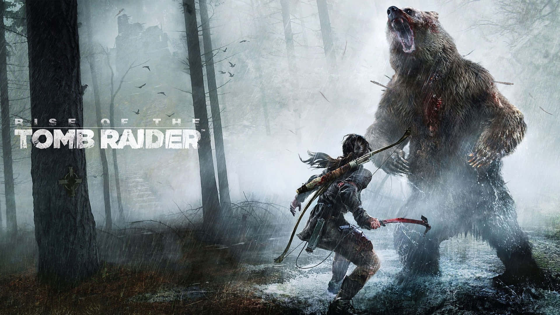 1920x1080rise Of The Tomb Raider Lara Croft Slåss Mot En Björn Som Bakgrundsbild.