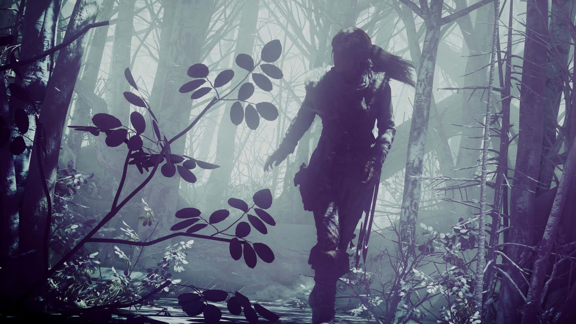 Silhouette Of Lara Croft 1920x1080 Rise Of The Tomb Raider Forest Background