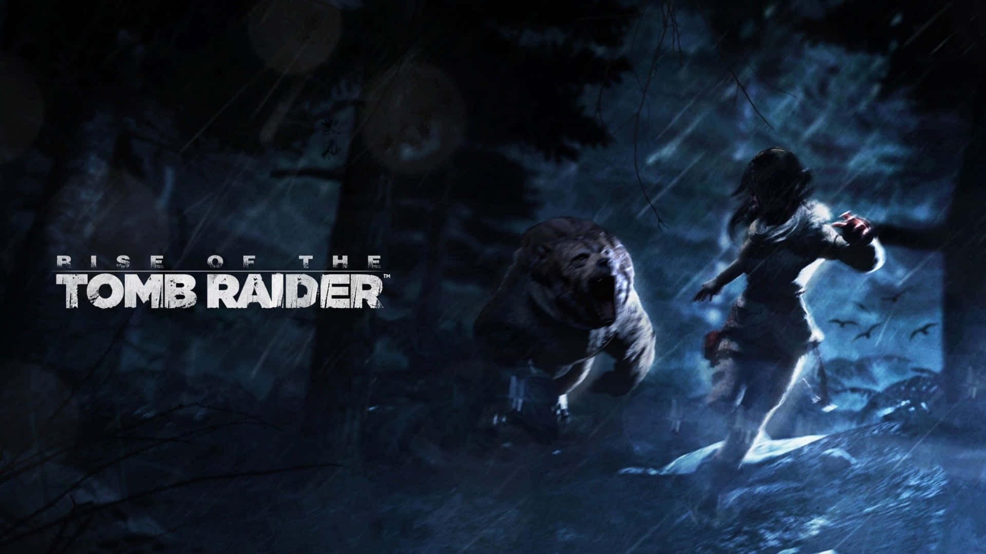 Lara Croft Chased By A Bear 1920x1080 Rise Of The Tomb Raider Forest Background