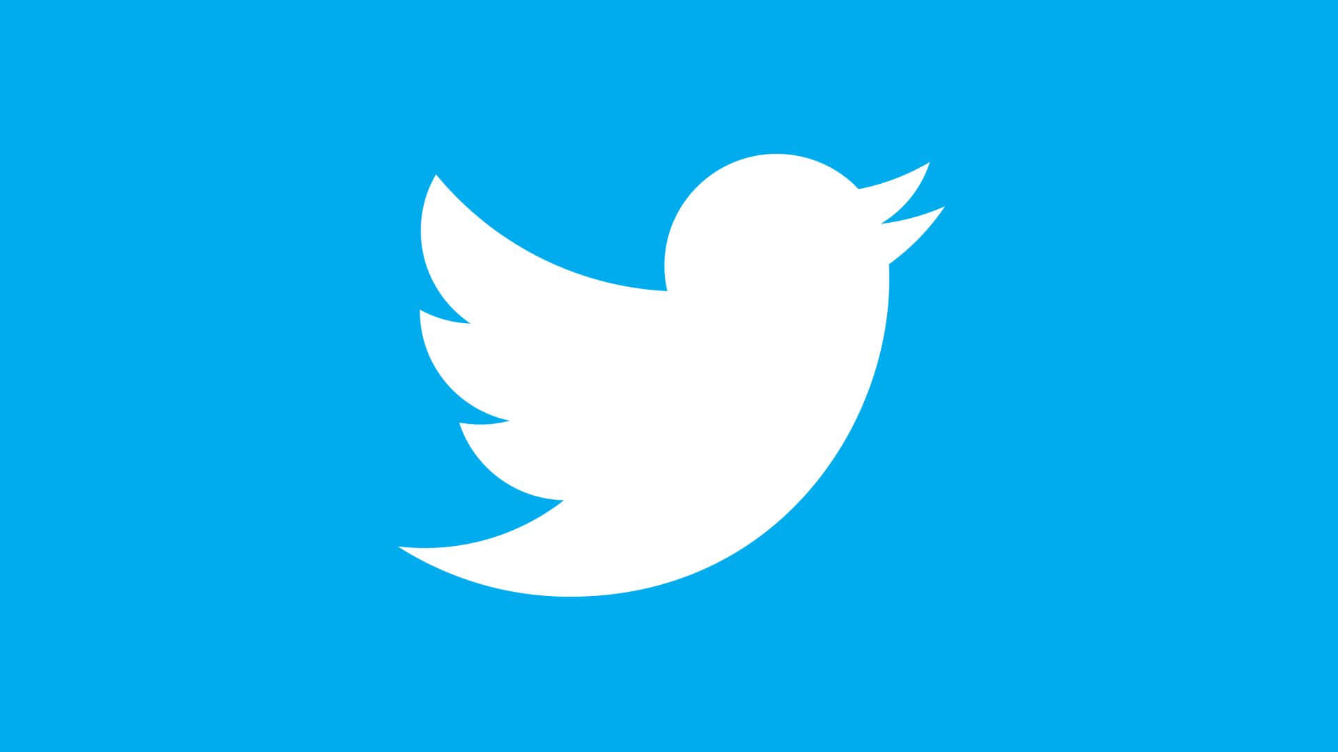 1920x1080 Social Baggrund Twitter's Hvide Fugle Logo