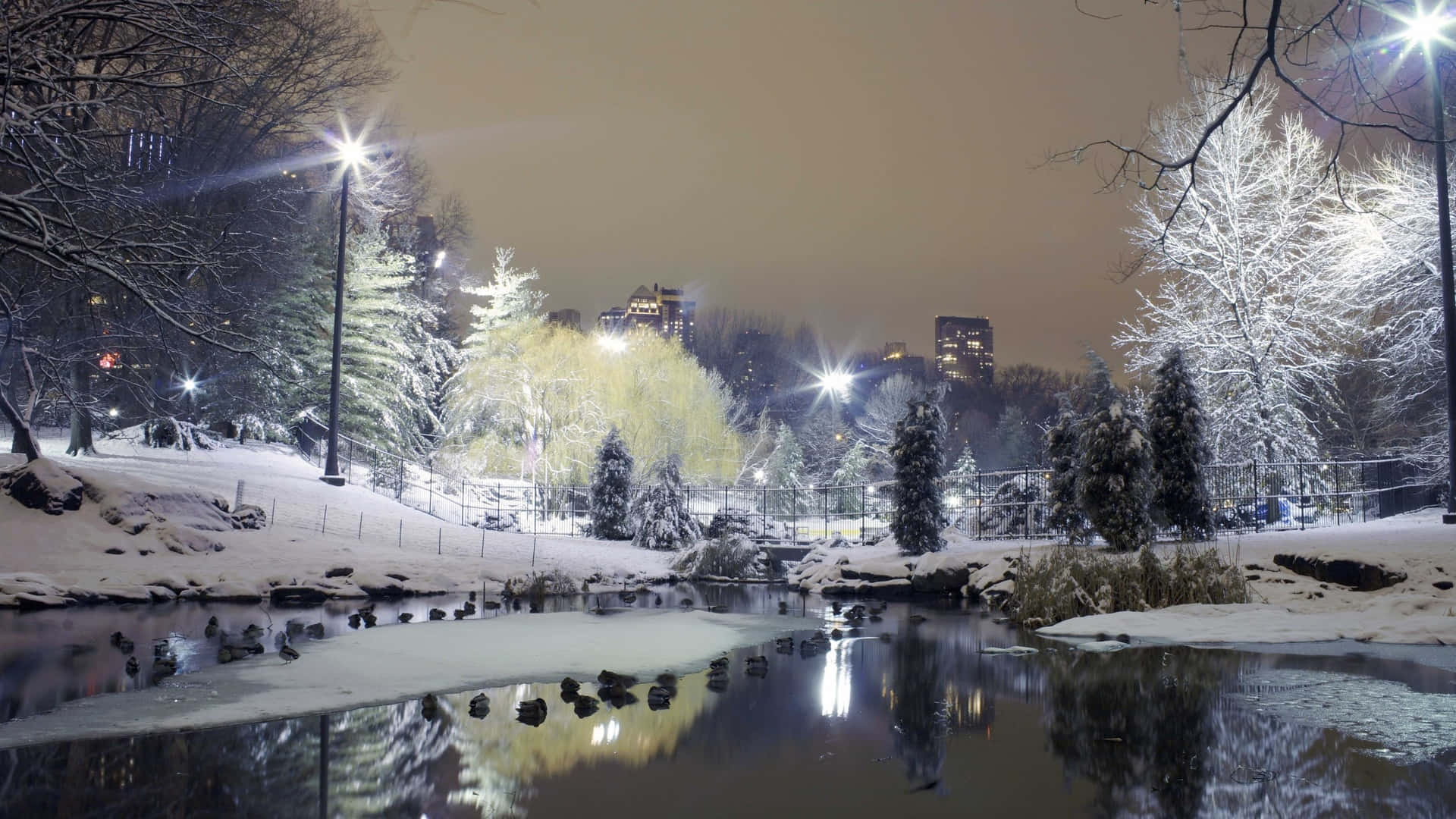 A Snowy Park With Lights And A Pond