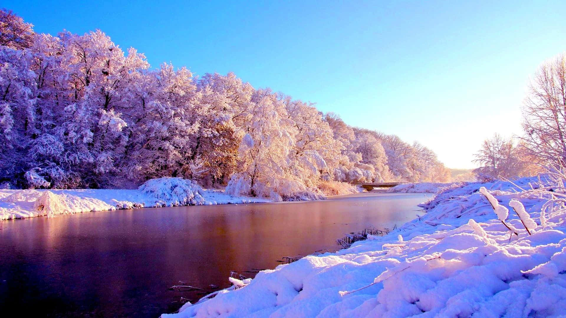 A blanket of snow creates a winter wonderland.