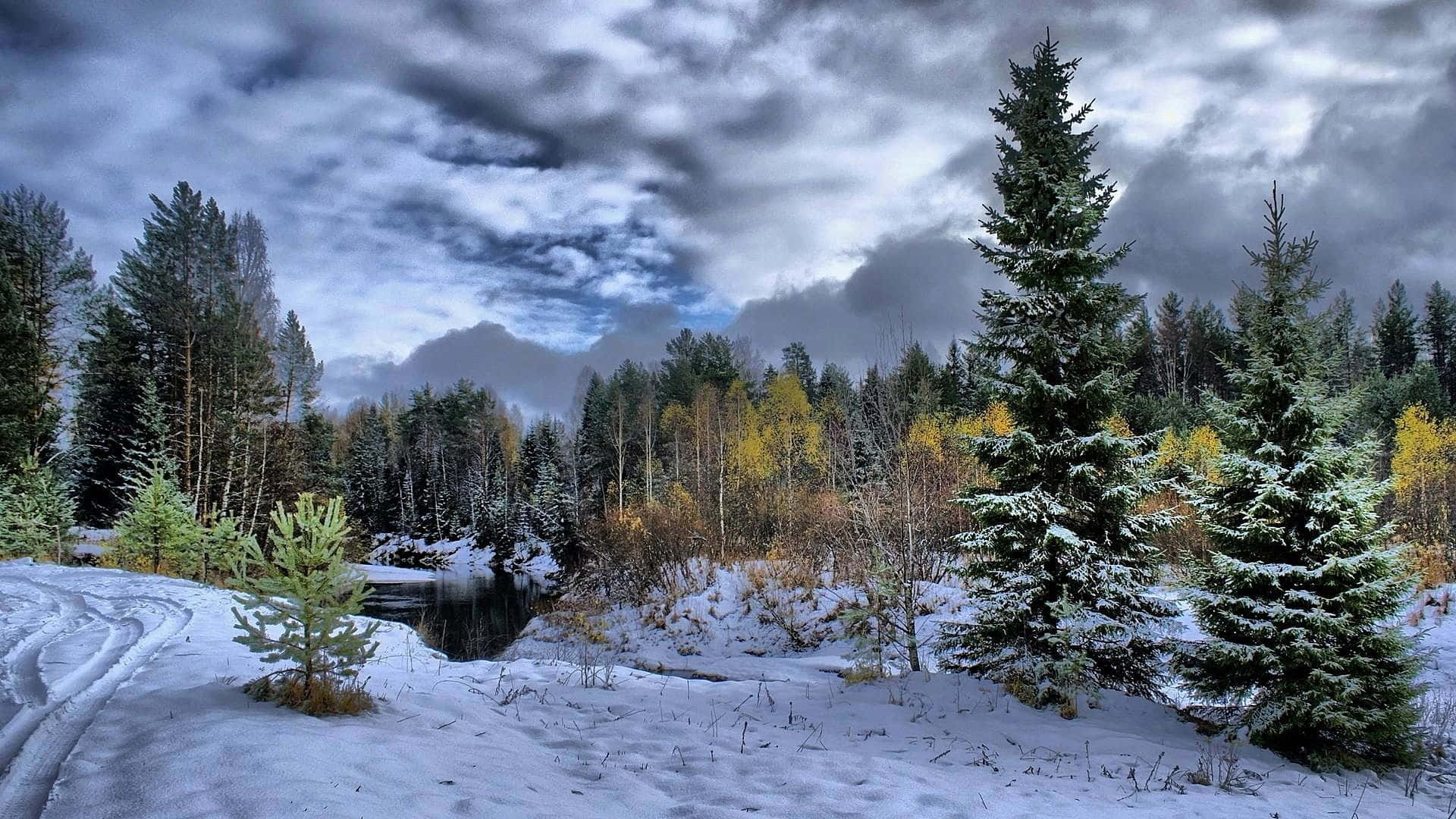 Breathtaking Winter Scene