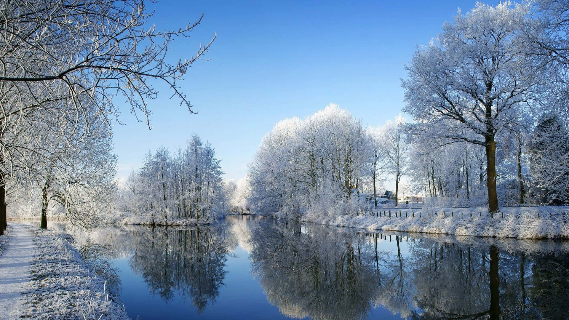 A Peaceful Winter Scene