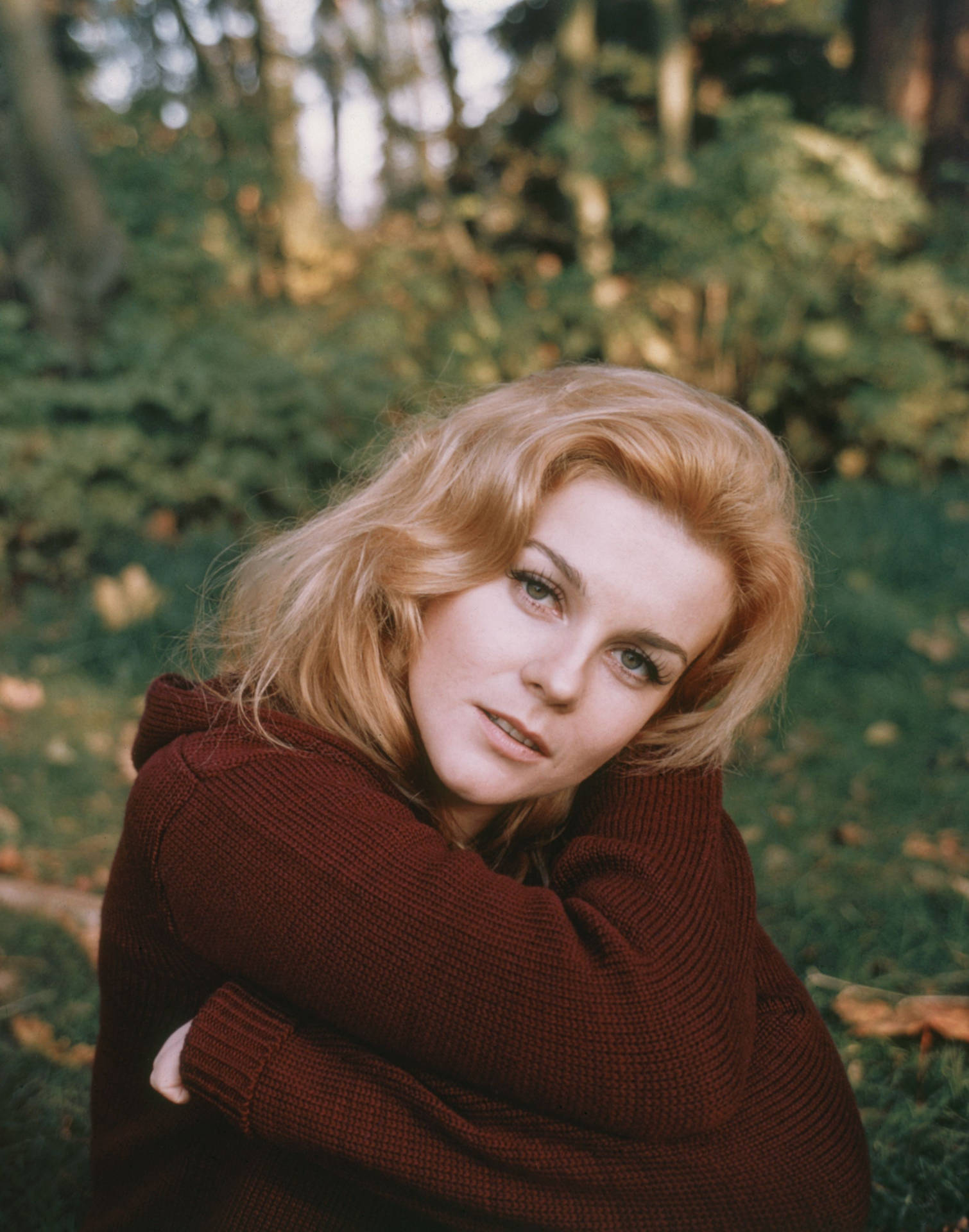 1965 Ann Margret On The Set Of Carnal Knowledge Wallpaper