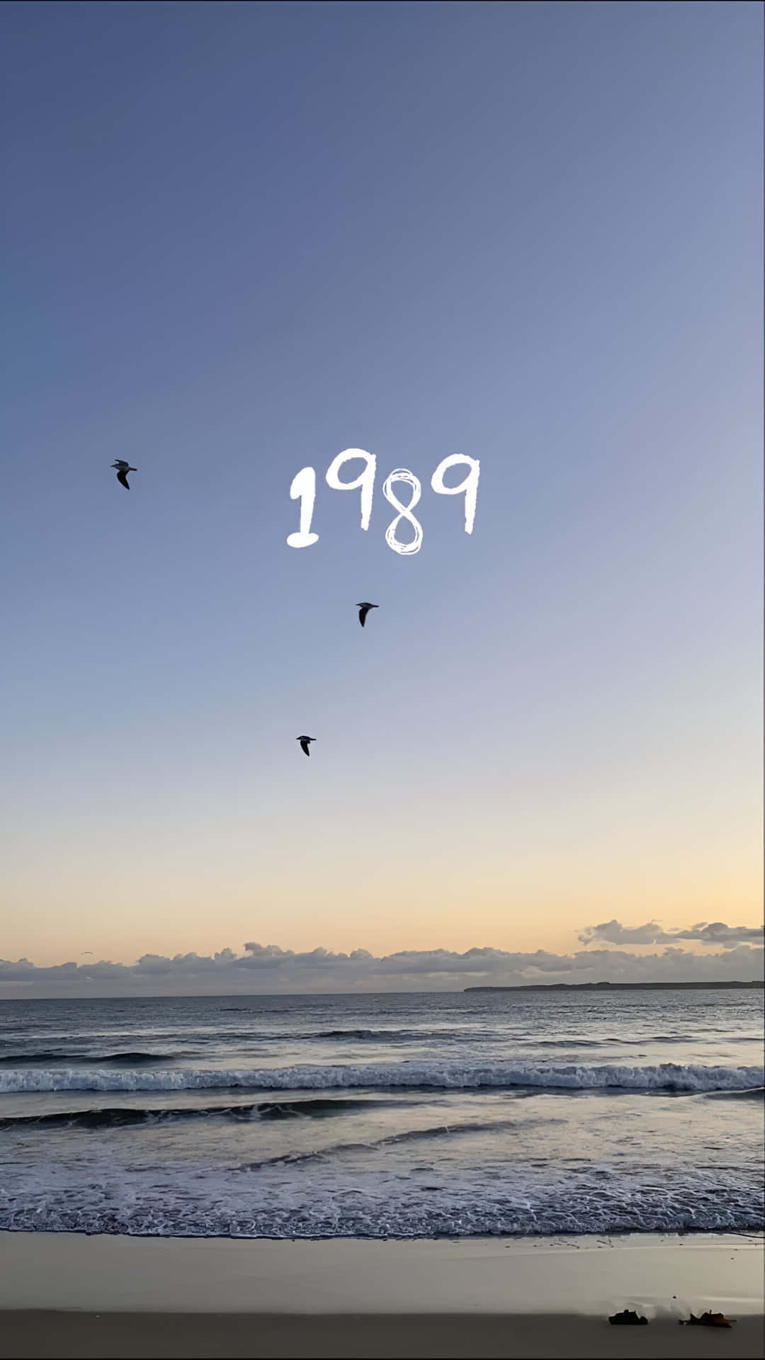 1989 Beach Dawn Birds Wallpaper