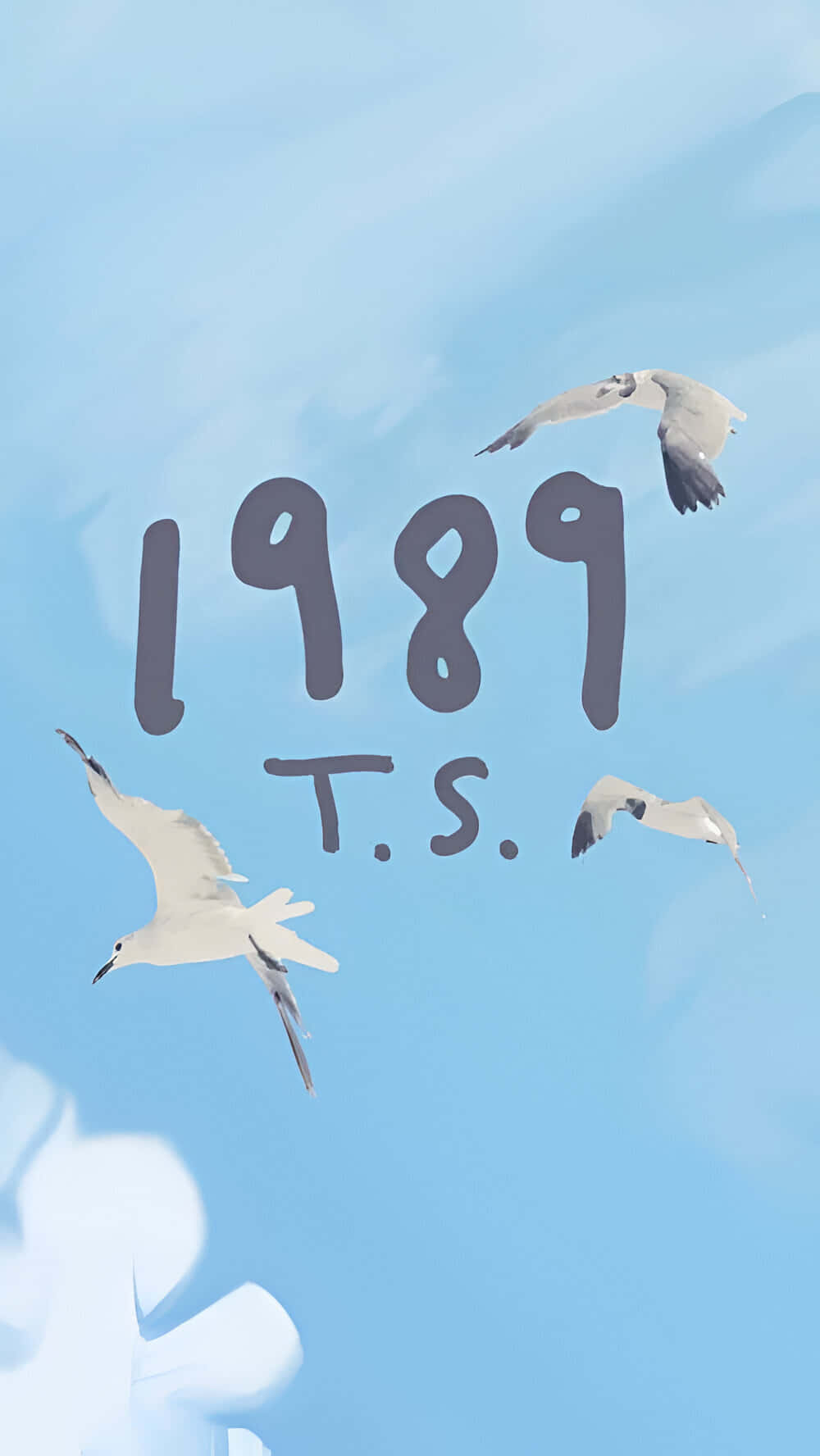 1989 T S Seagulls Sky Wallpaper