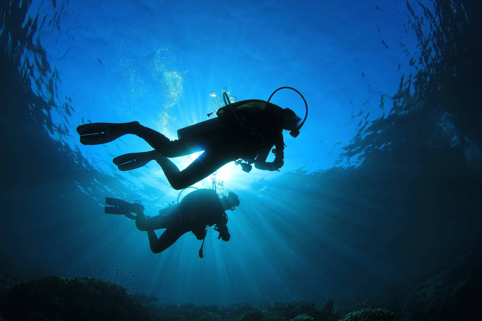 Adventurous Scuba Divers Exploring the Blue Depths Wallpaper