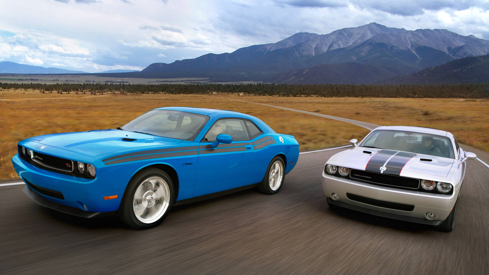 2009 White And Blue Dodge Challenger Cars Wallpaper