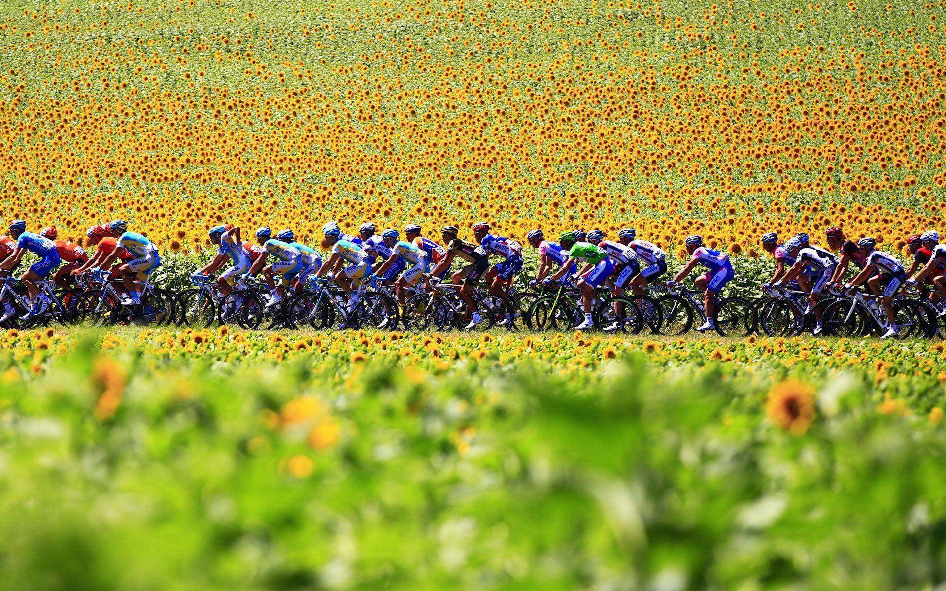 2010 Tour De France Competition Background