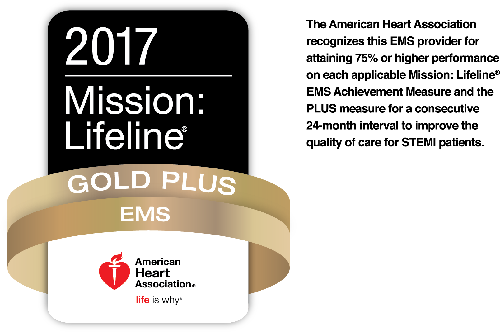 2017 Mission Lifeline Gold Plus Award PNG