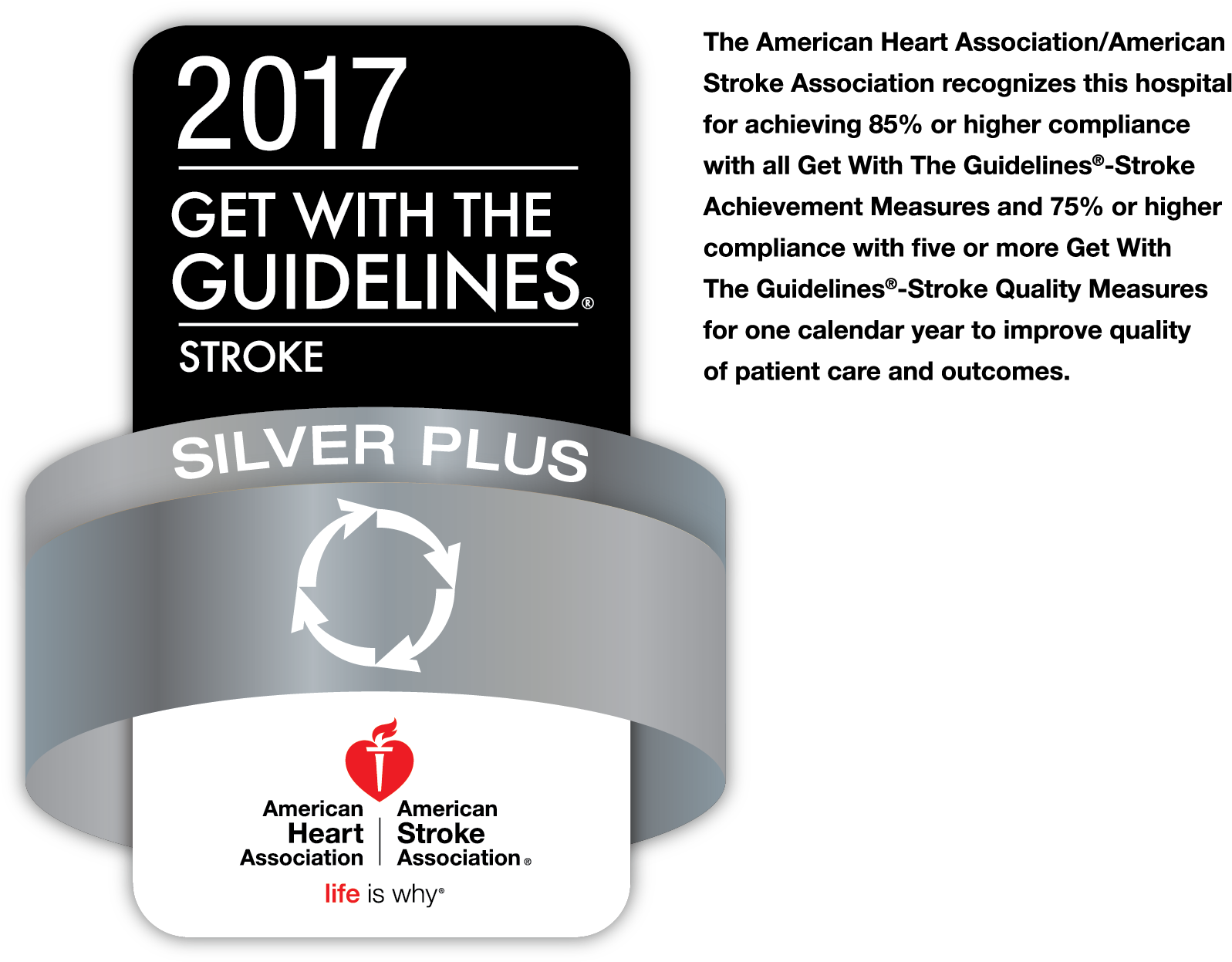 2017 Stroke Guidelines Award Silver Plus PNG