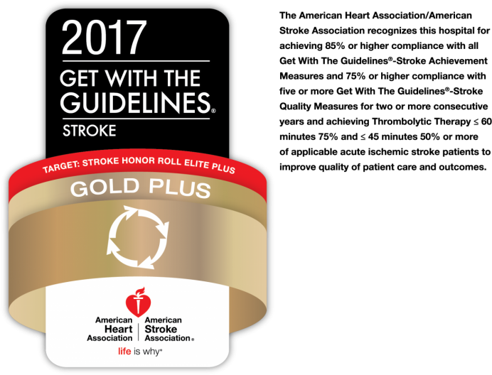 2017 Stroke Guidelines Award PNG
