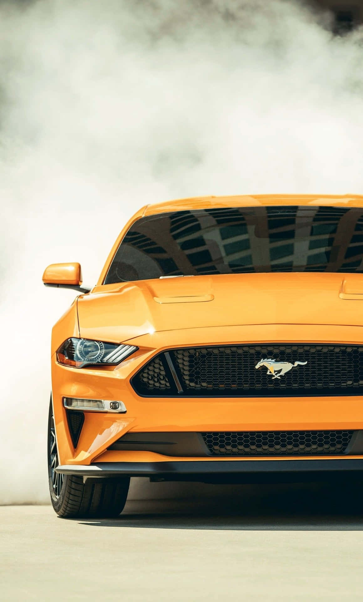 2019 Ford Mustang Under Glødende Burnout Tapet Wallpaper