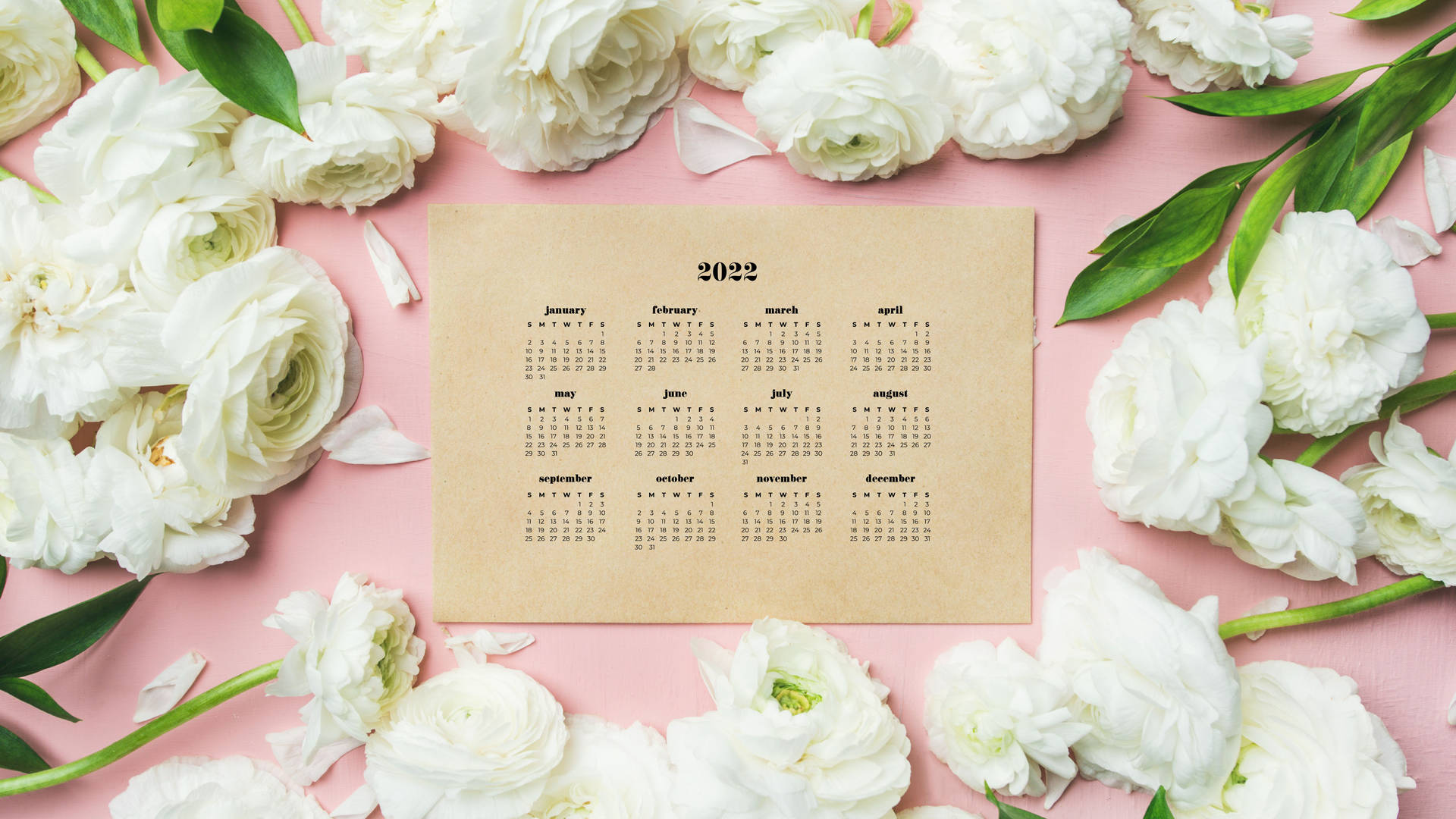 2022 Calendar With Peonies Flower Wallpaper