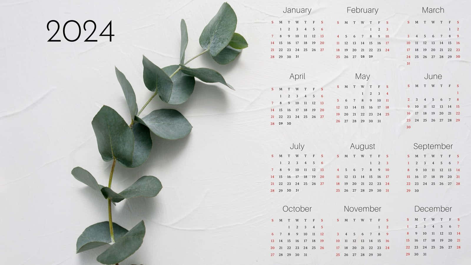 2024 Eucalyptus Styled Calendar Wallpaper
