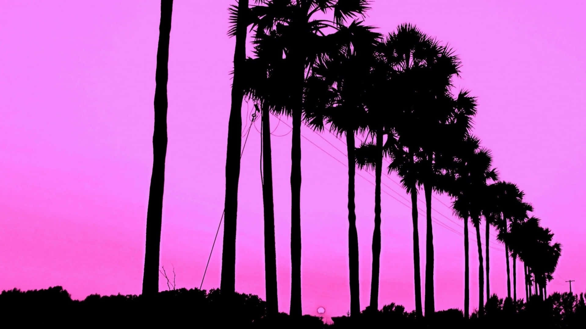 2048x1152 Aesthetic Trees Silhouette In Pink Sky Wallpaper