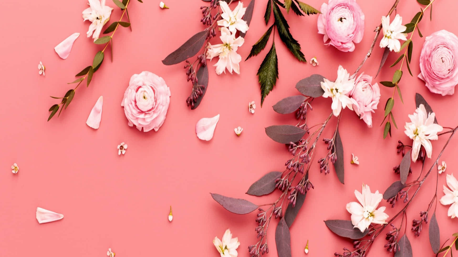 2048x1152 Aesthetic Pastel Pink Flowers And Leaves Wallpaper