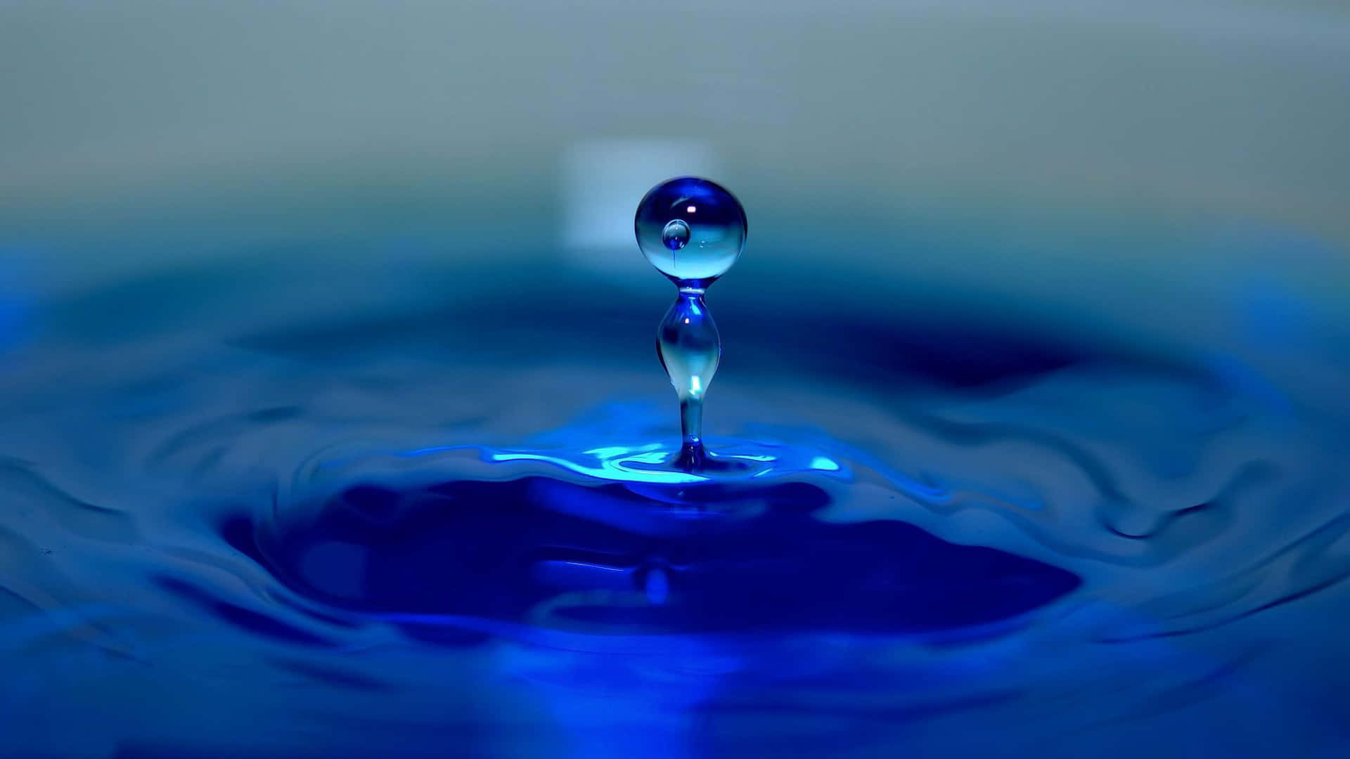 Enblå Dropp Är I Fritt Svävande I En Skål Med Vatten