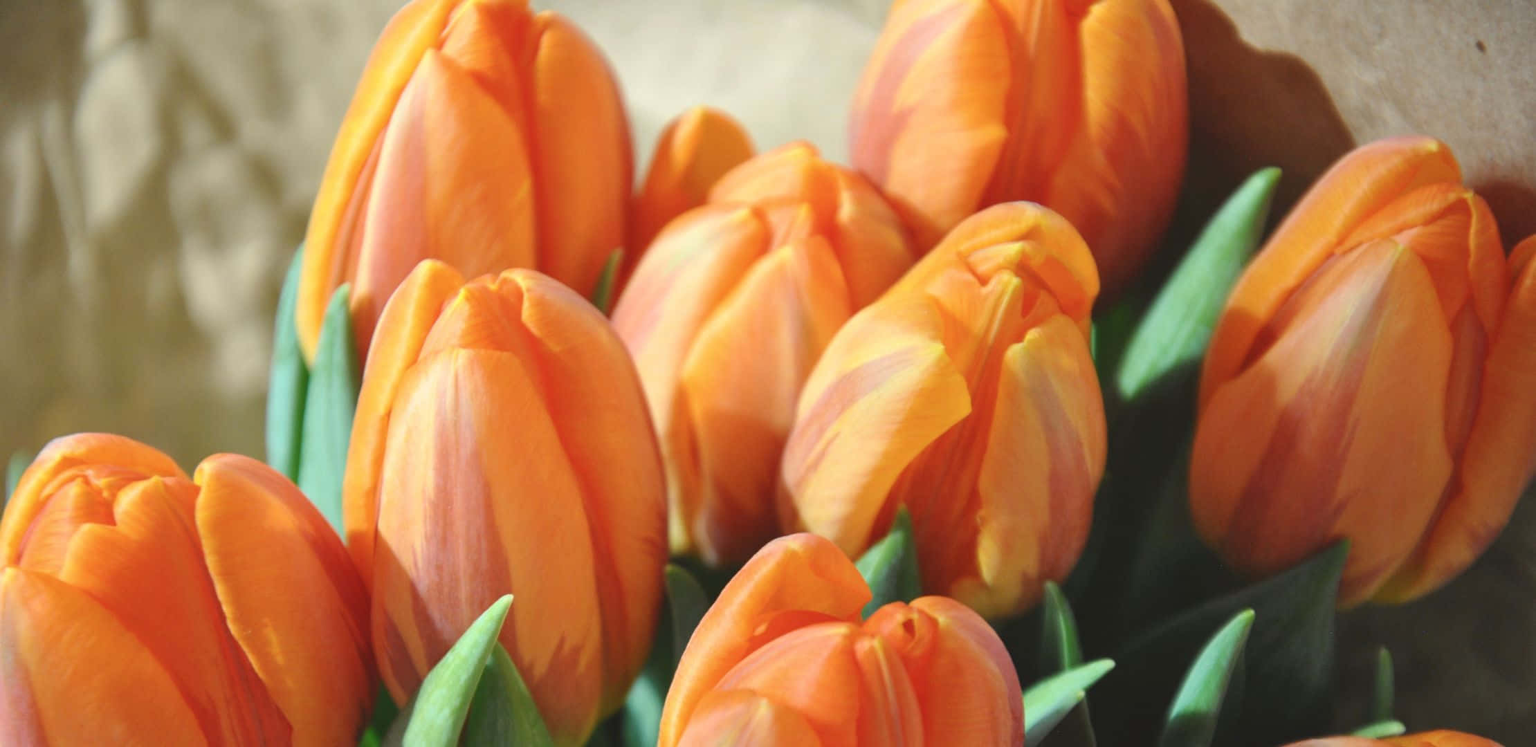 Orange Tulips In A Vase Wallpaper