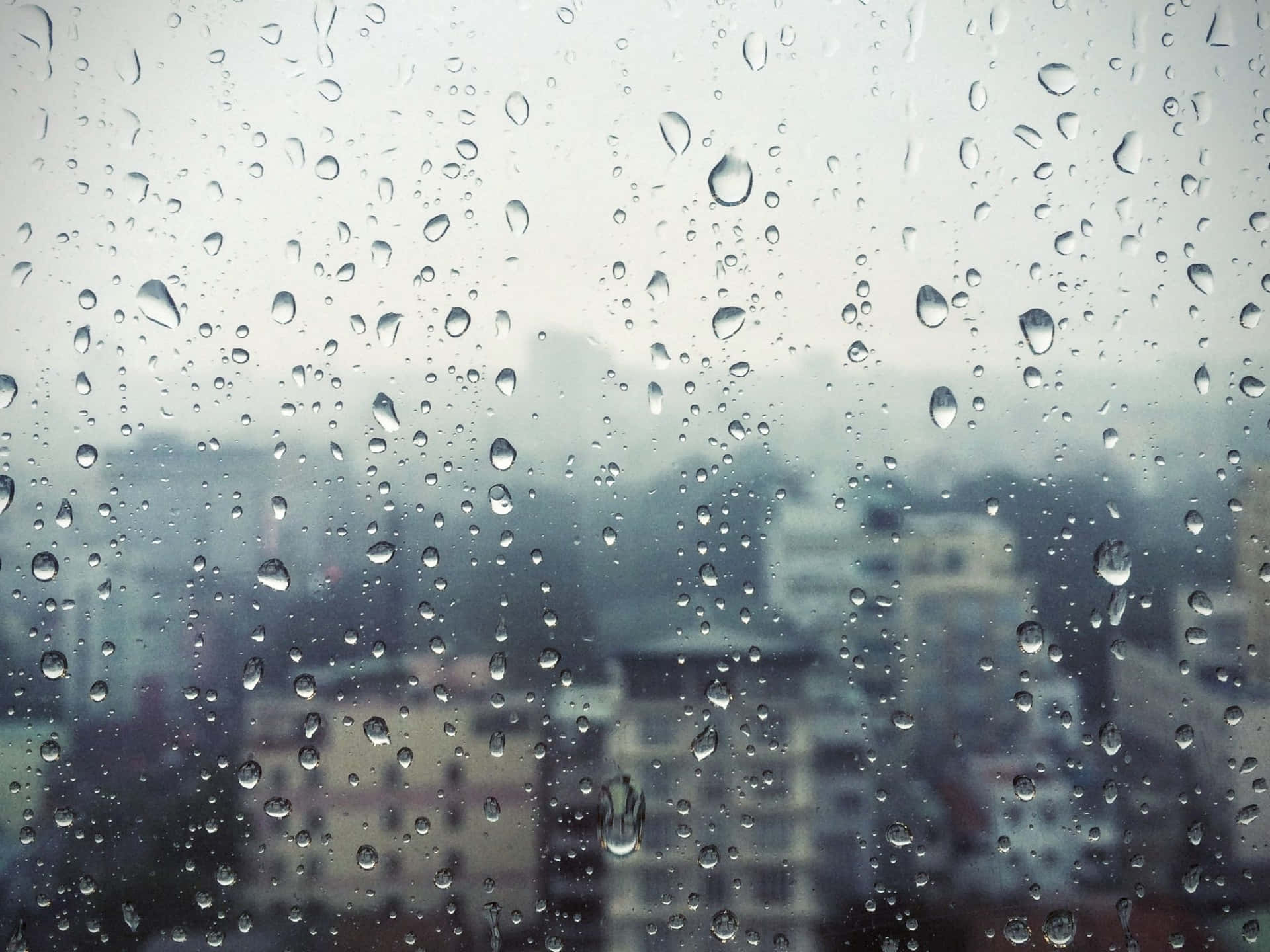 rain drops on a window Wallpaper
