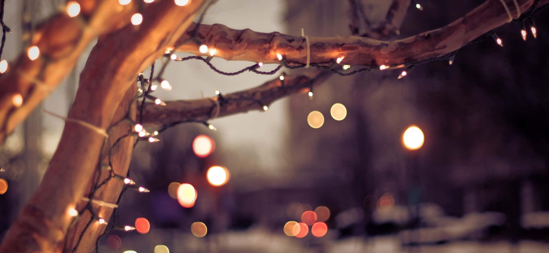 Christmas Lights On A Tree Wallpaper