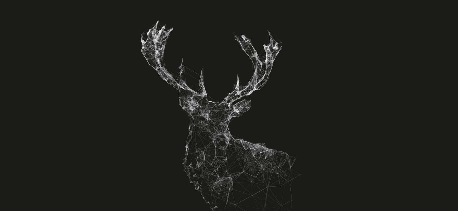 A Deer Head Is Shown In A Black Background Wallpaper