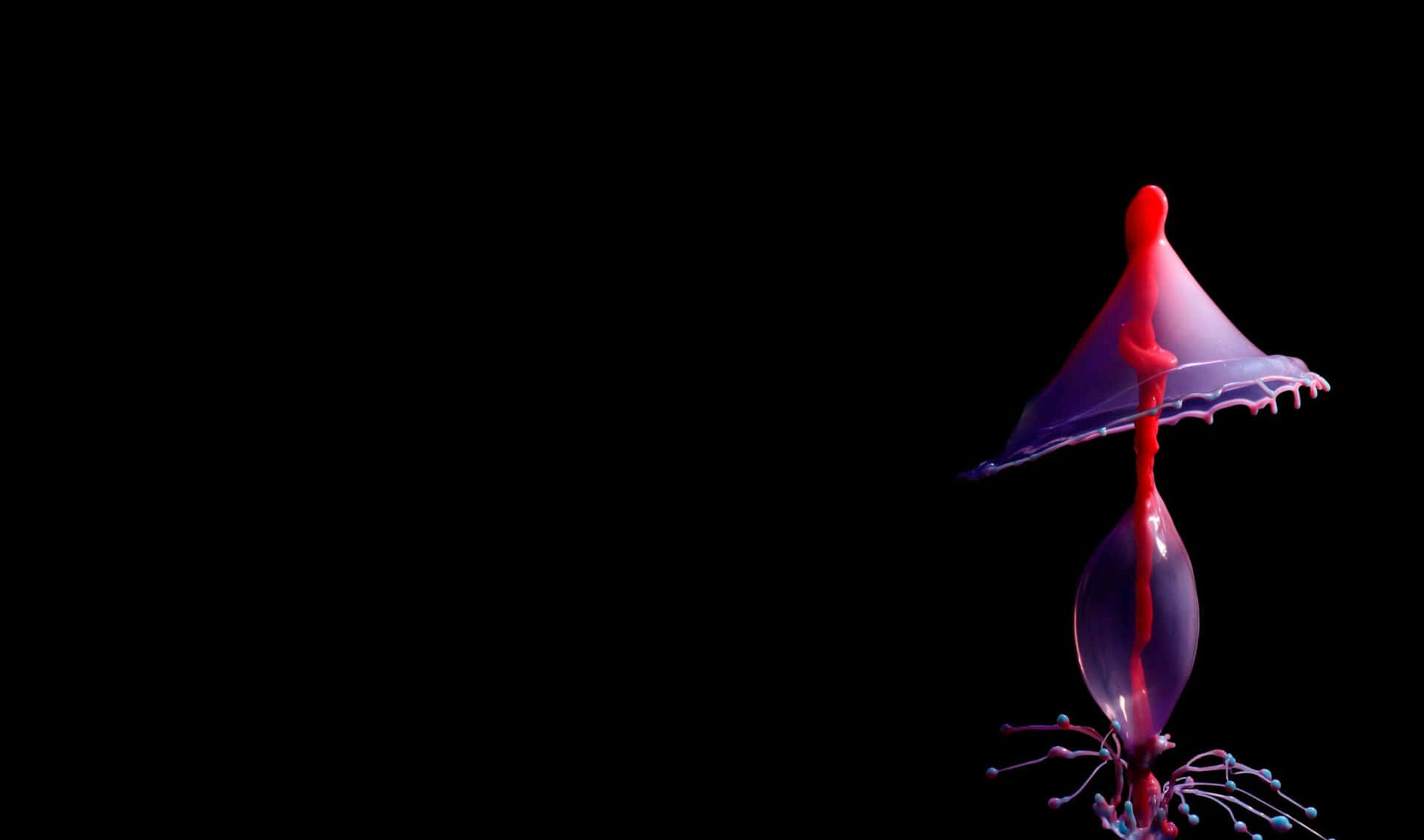 Dark Aesthetic Jellyfish 2440x1440 Amoled Background