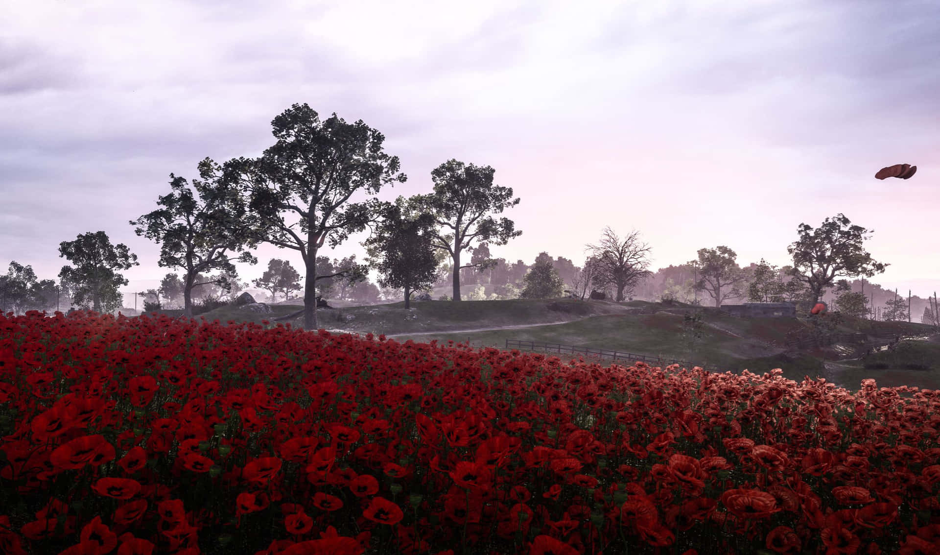 A Red Field With Trees And Poppies