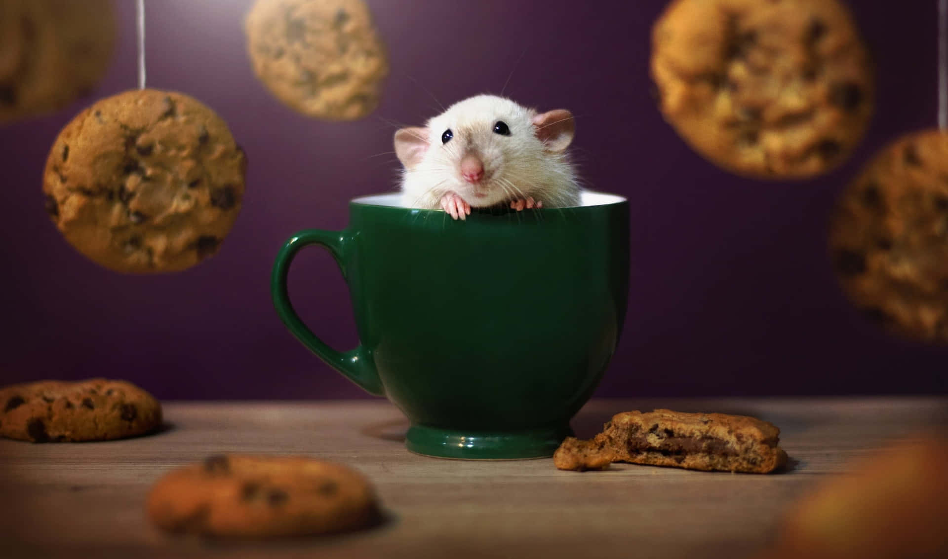 2440x1440 Cookies Background Green Cup